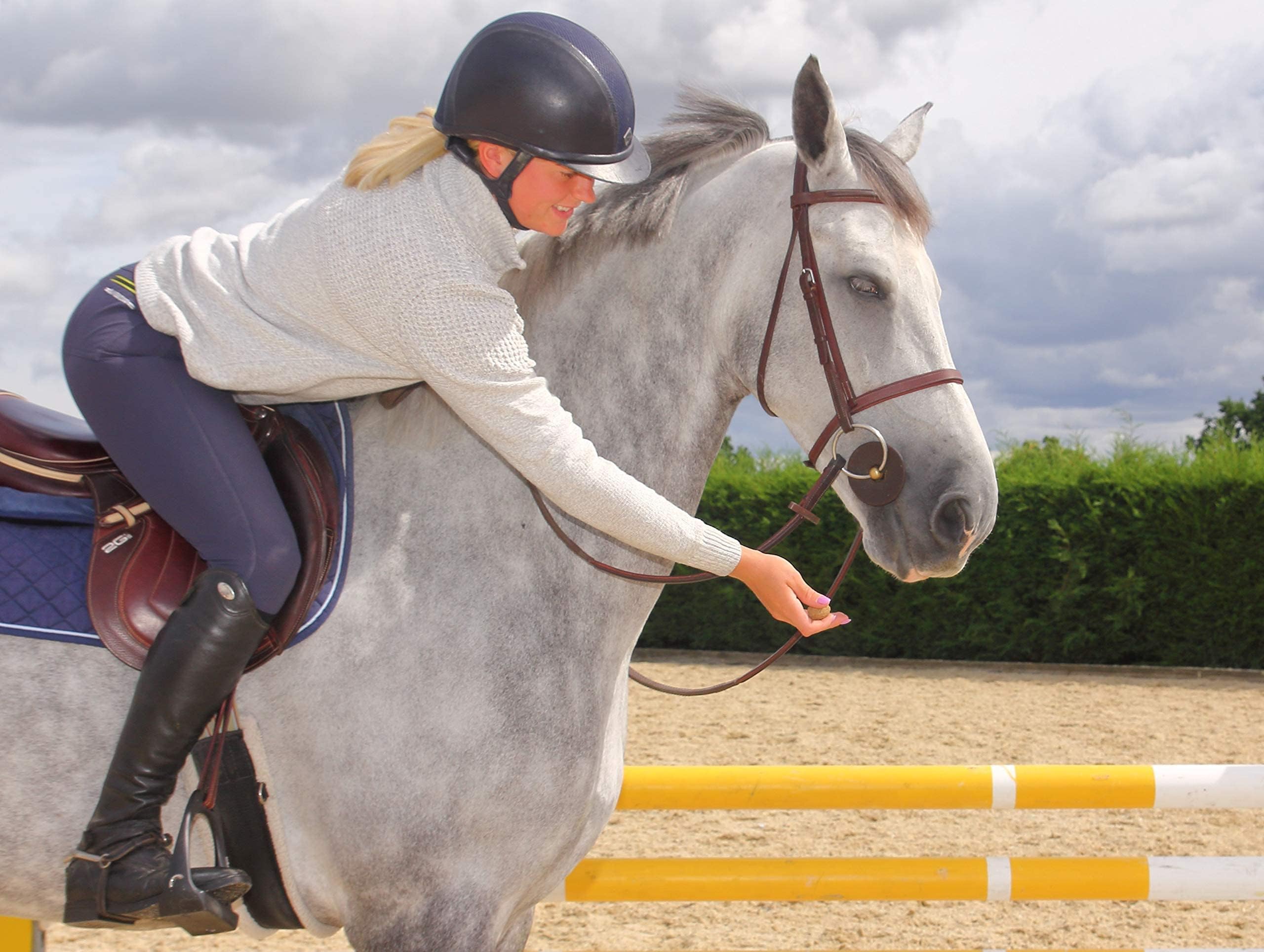 Healthy Low Sugar Horse Treats - Low Starch & Carb Digestive Support Snacks for Horses | 15lb Refill Pack | Perfect for Training, Rewards & Bonding with Your Horse