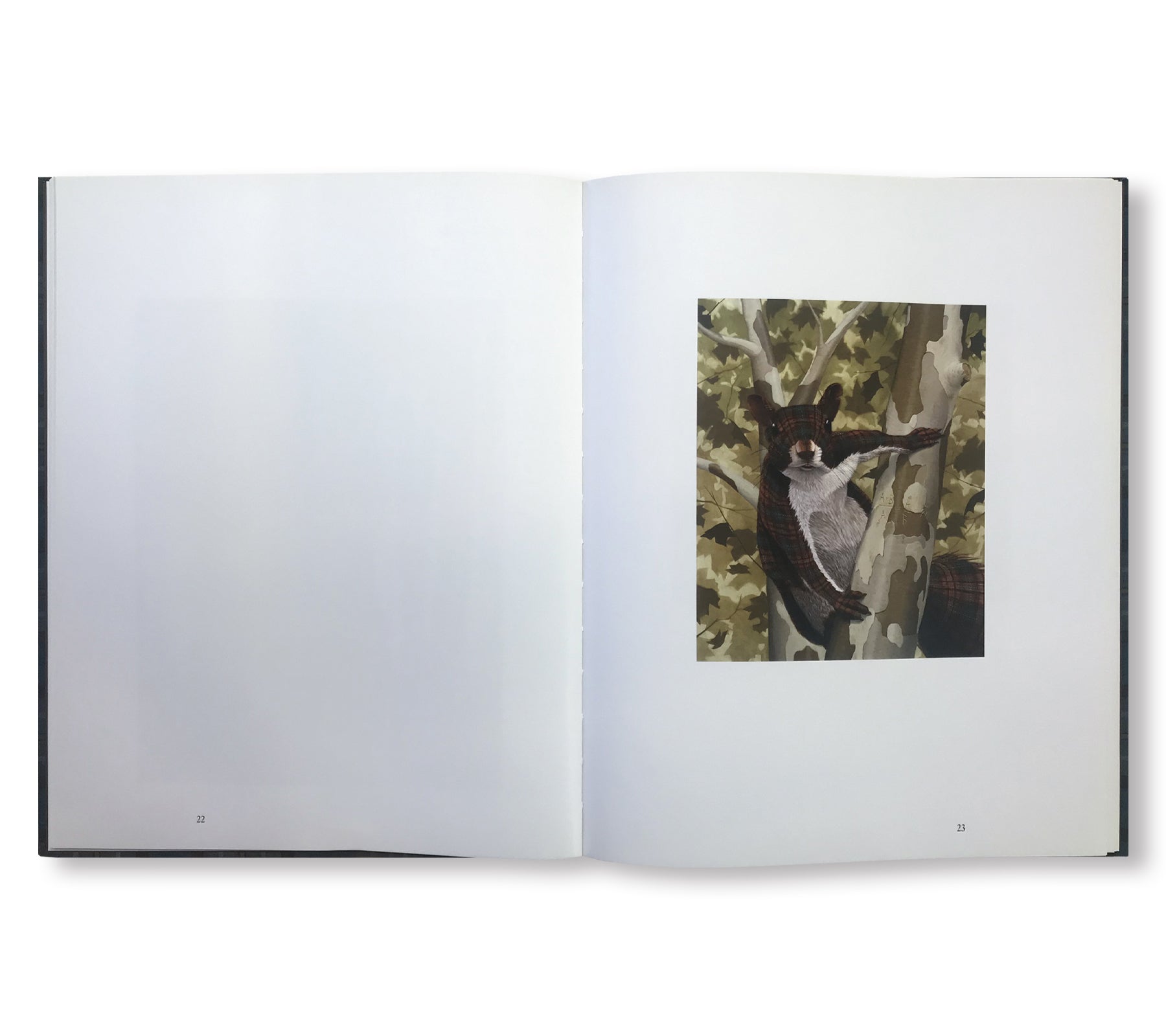 North American Mammals Book by Sean Landers - Wildlife Guide for Nature Enthusiasts & Outdoor Adventures