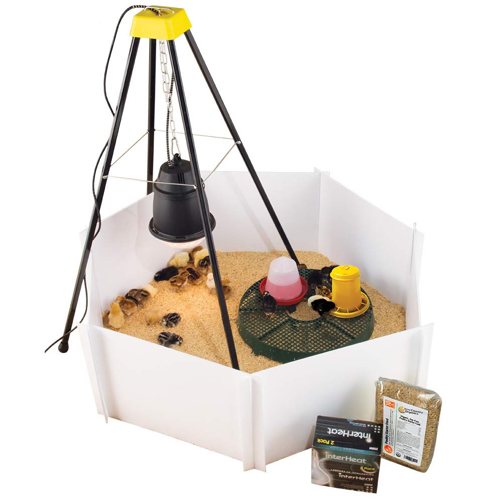 Premier 1 Heat Lamp Brooder Kit for 24 Chicks - Safe & Efficient Poultry Warming Solution for Baby Chick Care, Chicken Coop & Farm Use