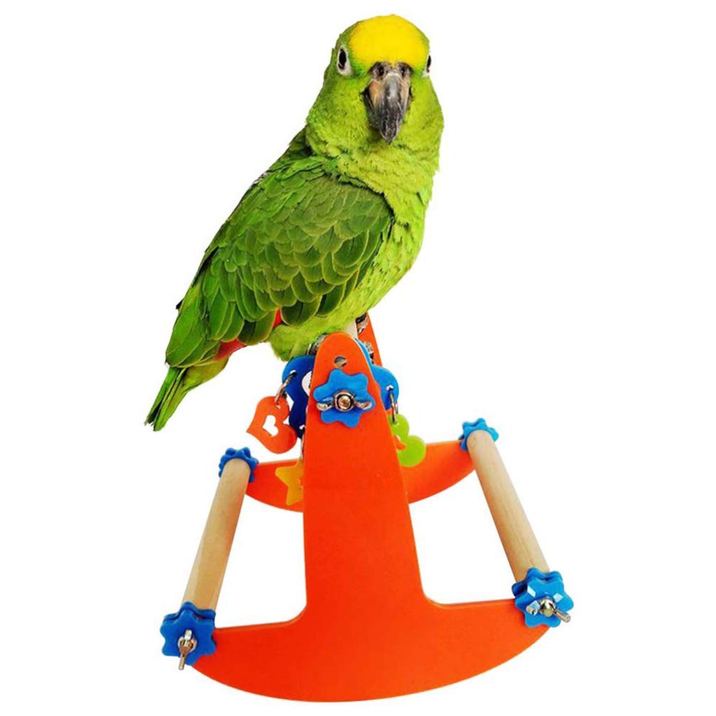 Balacoo Parrot Training Stand with Swing - Durable Bird Perch & Play Toy for Parrots, Cockatiels, Conures | Perfect for Cage Accessories, Playtime & Training Exercises