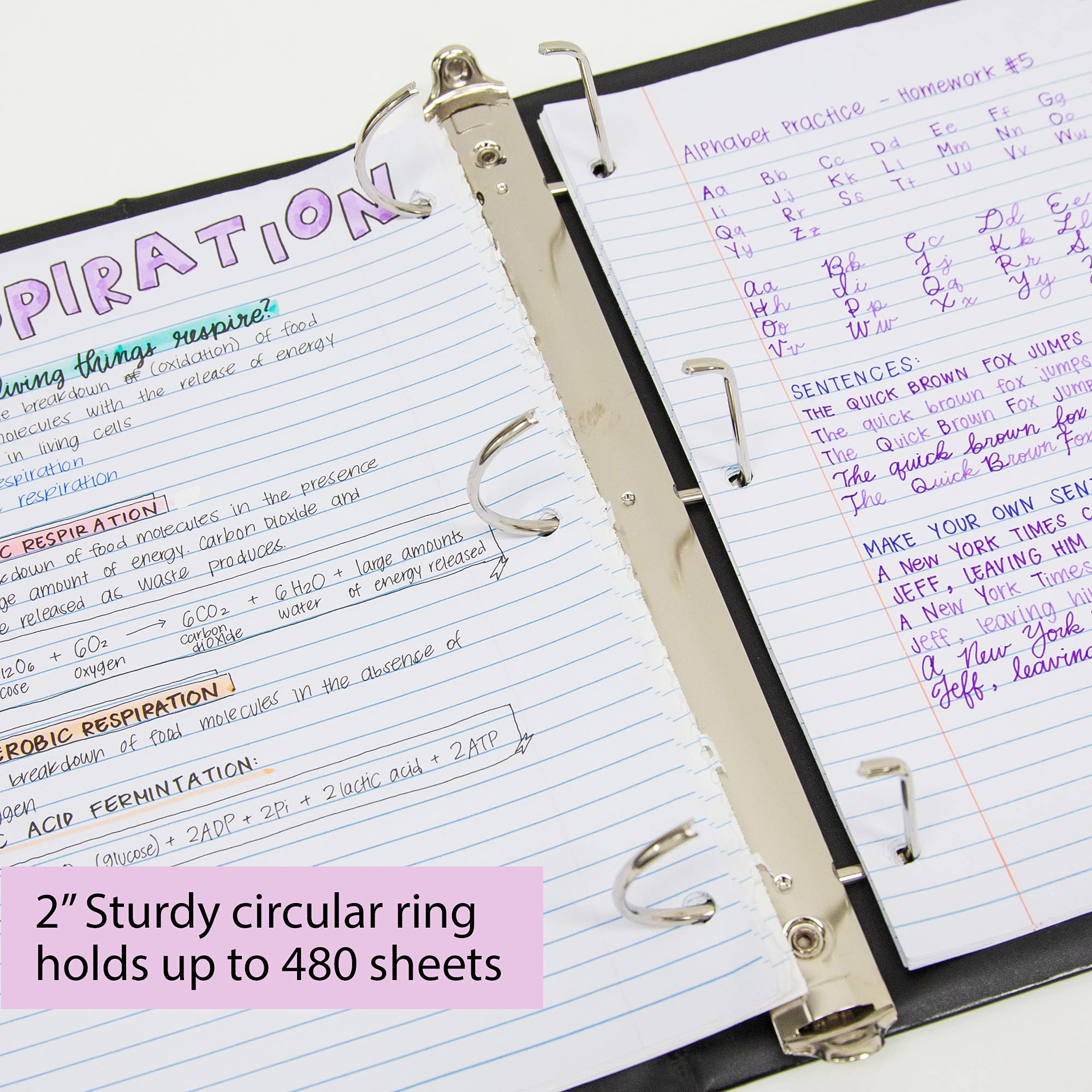 BAZIC 2 Inch 3-Ring Binder with Slant D-Rings, Holds 480 Sheets - Black (12-Pack) for School, Office & Home Organization | Perfect for Notebooks, Reports & Document Storage