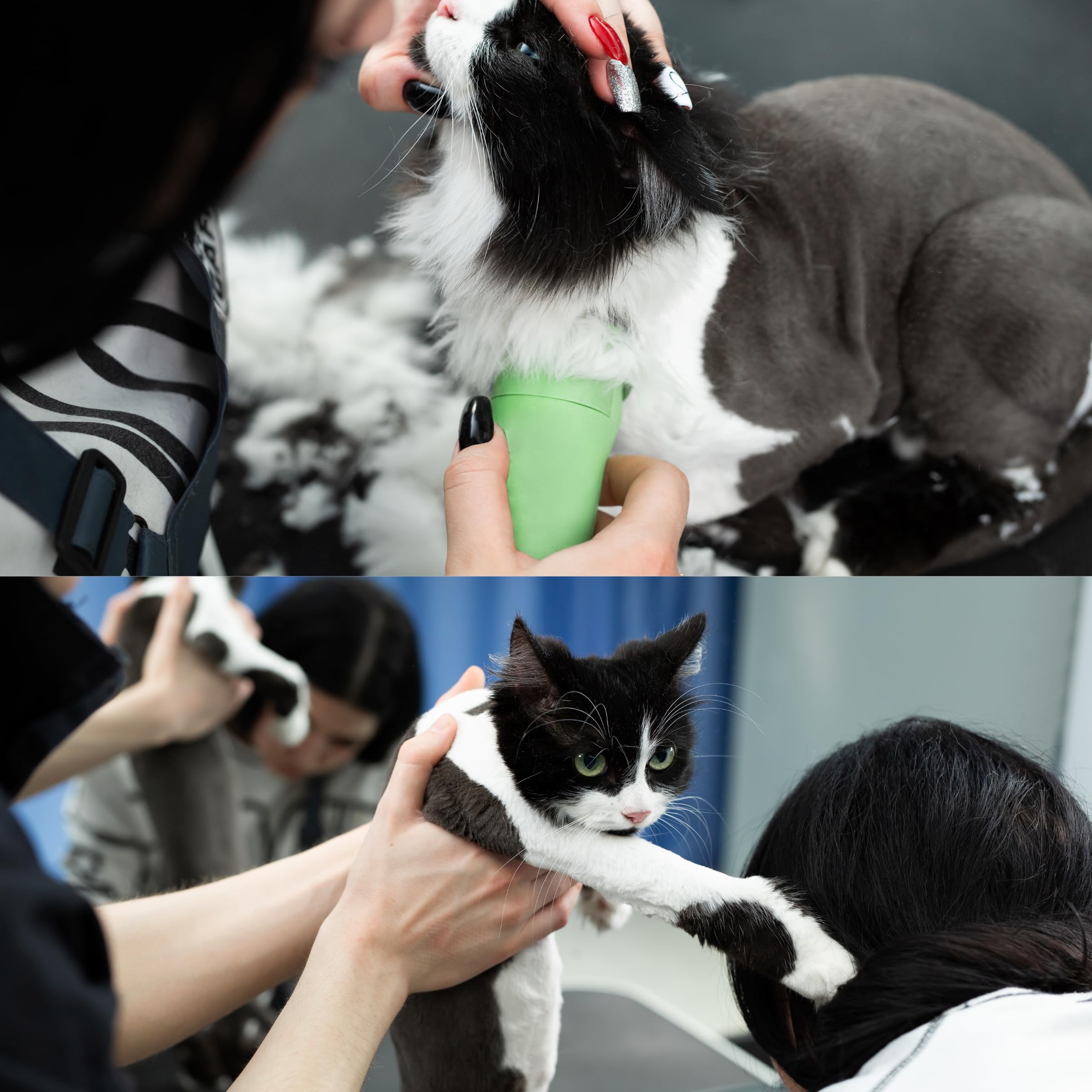 10 Cat Detachable Clipper Blades 1.5mm Cut Length - Japanese Carbon Steel Professional Pet Grooming Supplies | Compatible with A5 Series Clippers for Cats | Perfect for Home Grooming & Professional Pet Salons