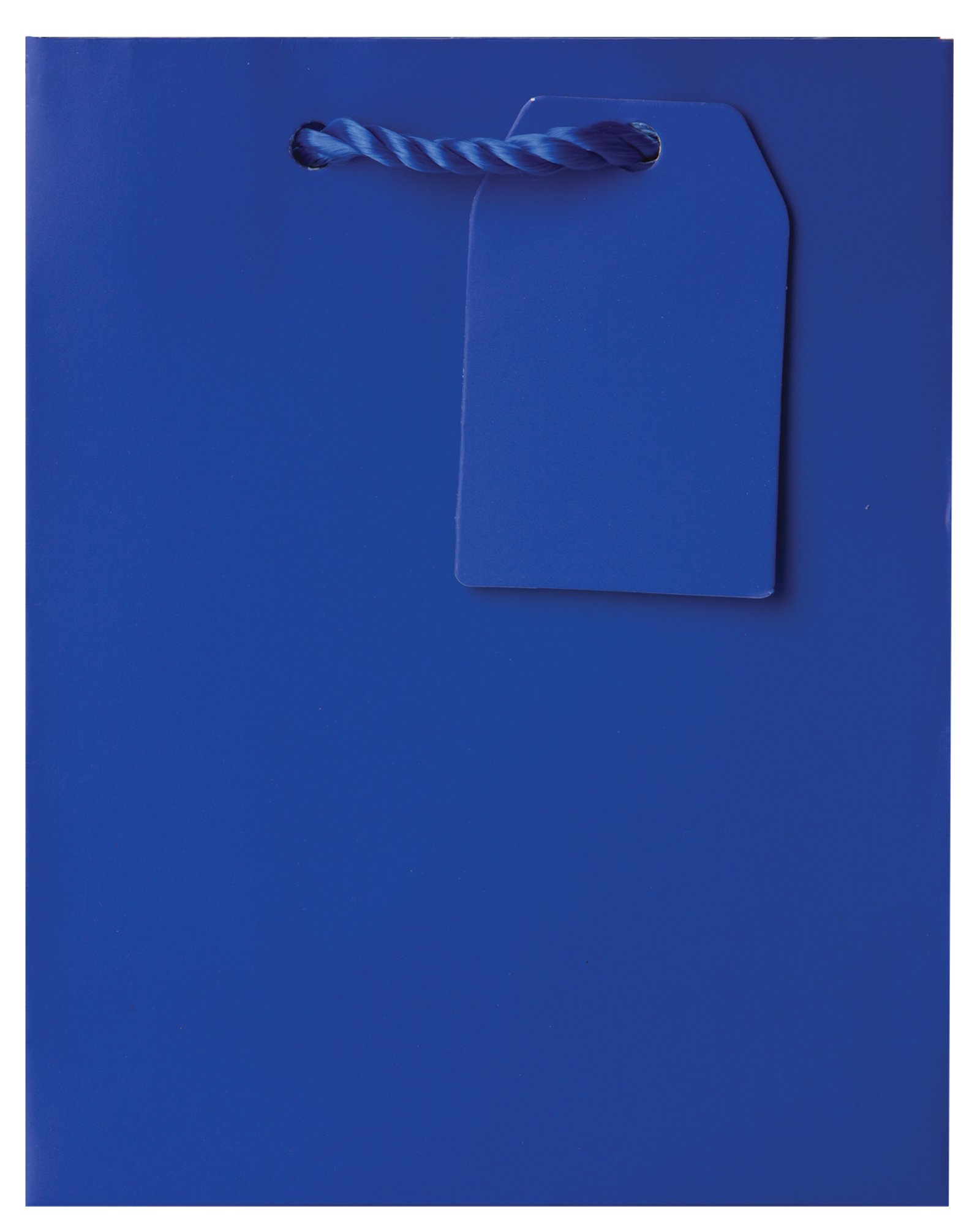 Jillson Roberts Bulk Small Gift Bags - 120 Count Royal Blue Matte Party Favor Bags (BST916) for Weddings, Baby Showers & Birthday Parties
