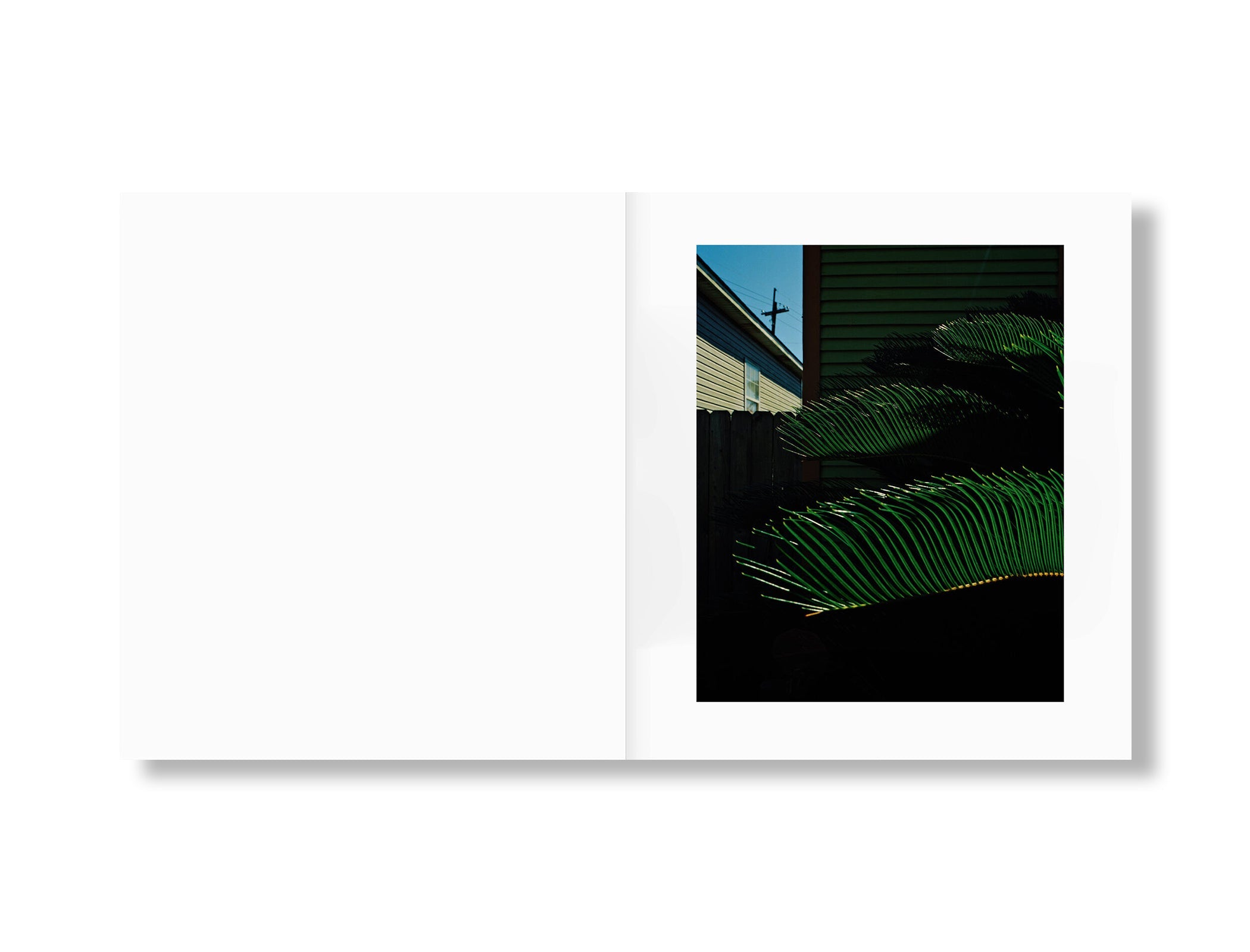 Mystery Street by Vasantha Yogananthan - Signed Photobook | Limited Edition Art Photography Collection for Home Decor & Gift Giving