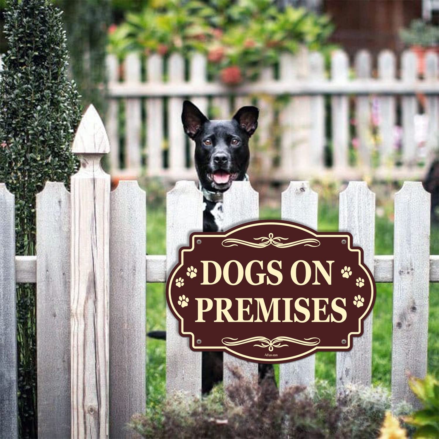 Beware of Dog Sign - 10