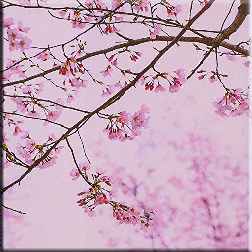 7 Pink Floral