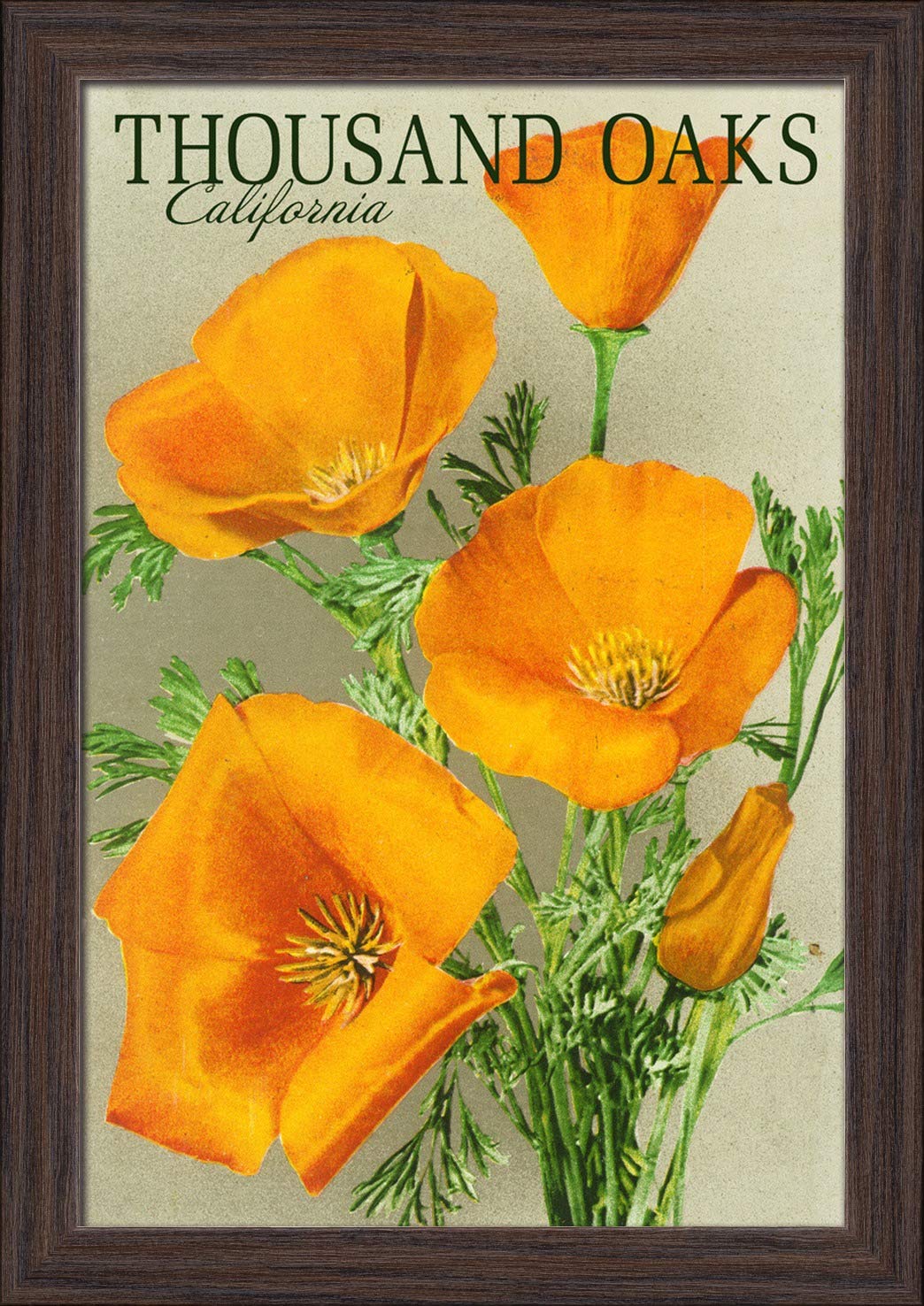 Vintage Thousand Oaks California Poppy Flowers Poster - 12x18 Giclee Fine Art Print with Recycled Wood Frame in Espresso Brown - Perfect for Home Decor, Office Wall Art & Gift Ideas