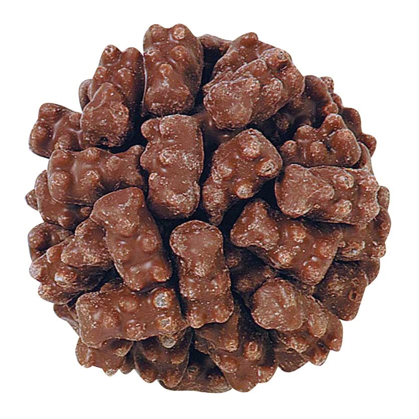 Milk Chocolate Covered Gummi Bears - 2lb Bulk Candy Bag with Resealable Stand-Up Pouch | Assorted Fruit Flavors | Perfect for Parties, Holidays, Gifts & Movie Nights