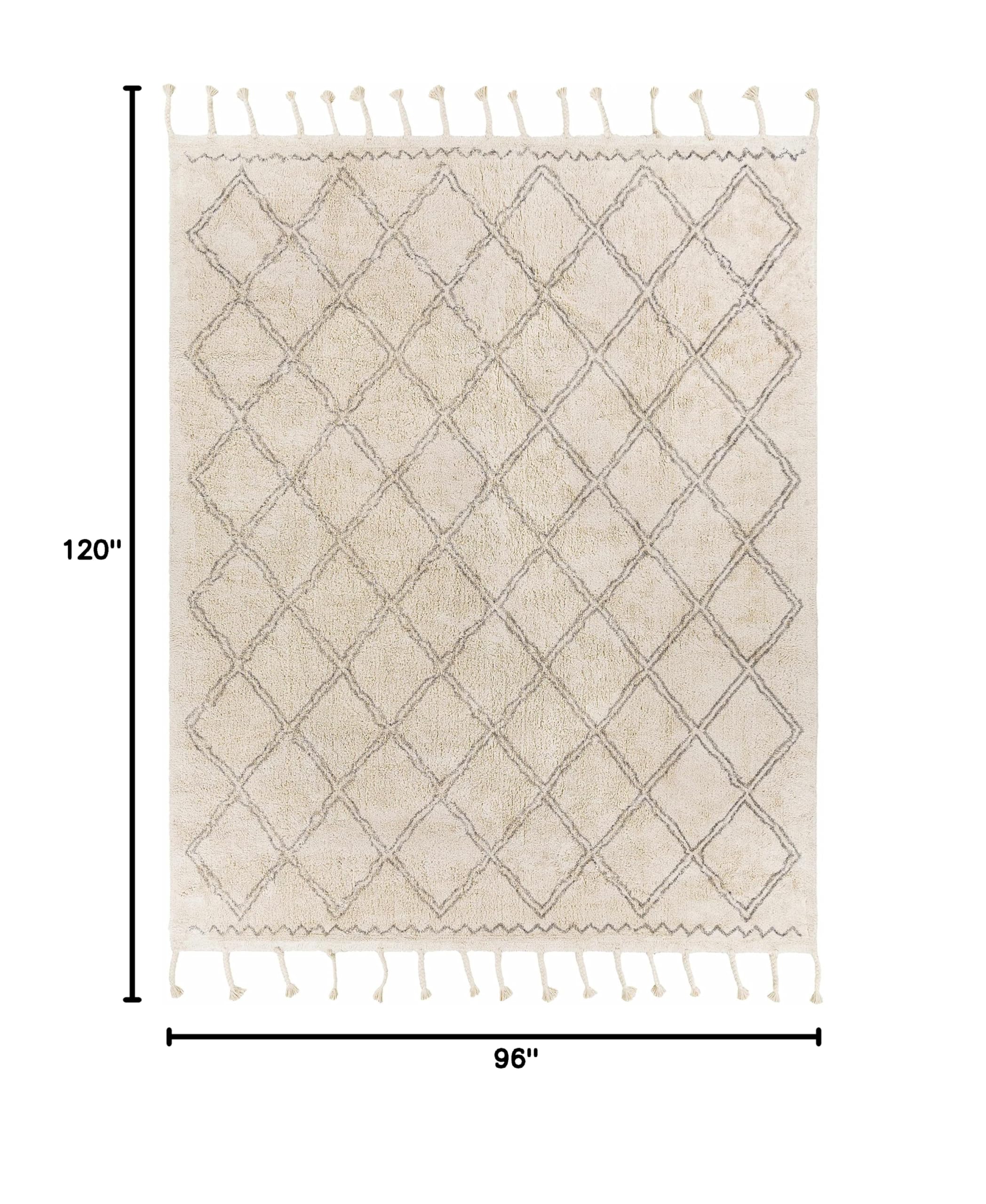 Bohemian Transitional Area Rug 8' x 10' - Gray & Cream Handwoven Rug for Living Room, Bedroom - Hauteloom Harvester Collection | Perfect for Boho Chic Decor, Cozy Home Makeover