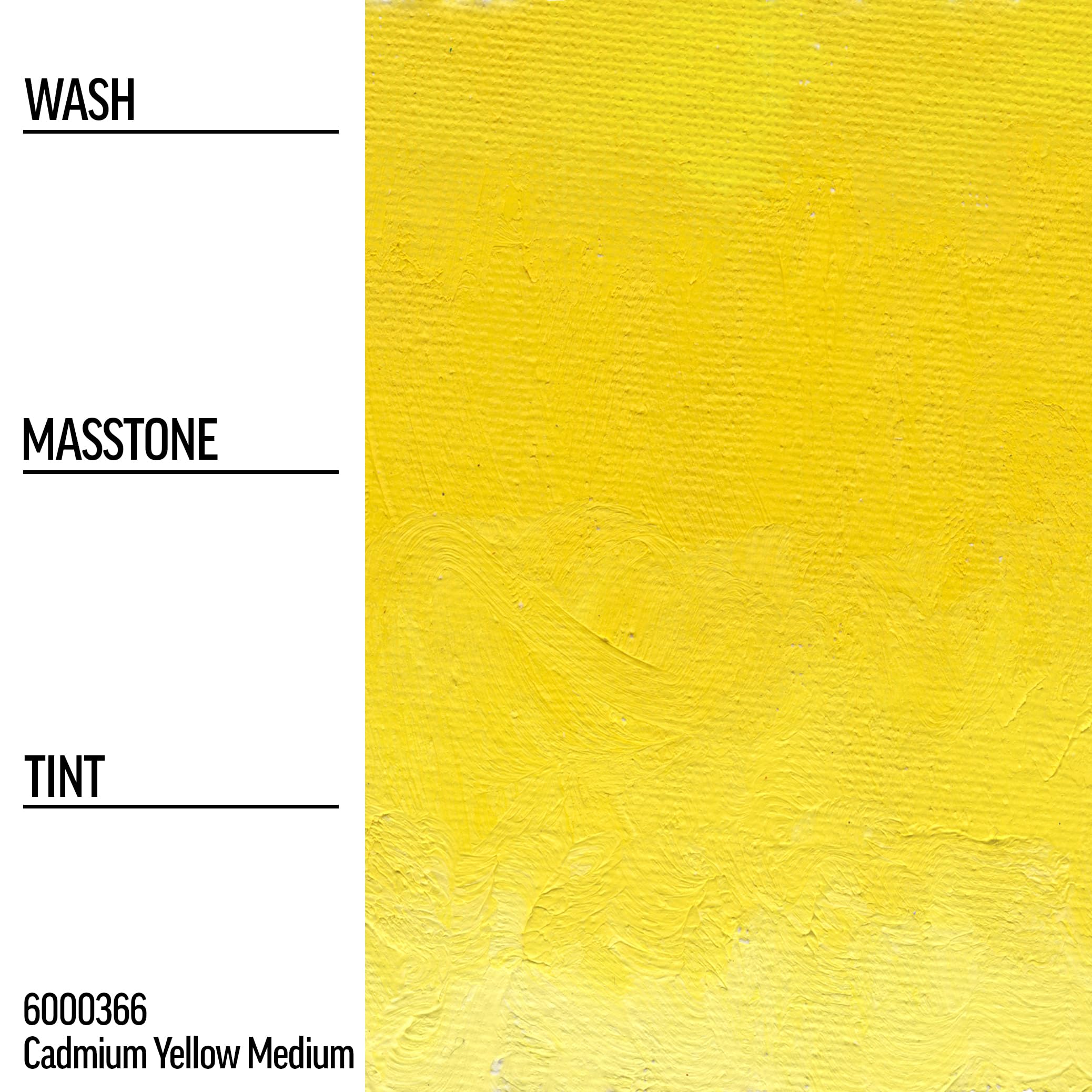 GOLDEN Williamsburg Artist Oil Paint - Cadmium Yellow Medium (150ml Tube) | Professional Grade, Opaque Oil Colors for Canvas Painting & Fine Art