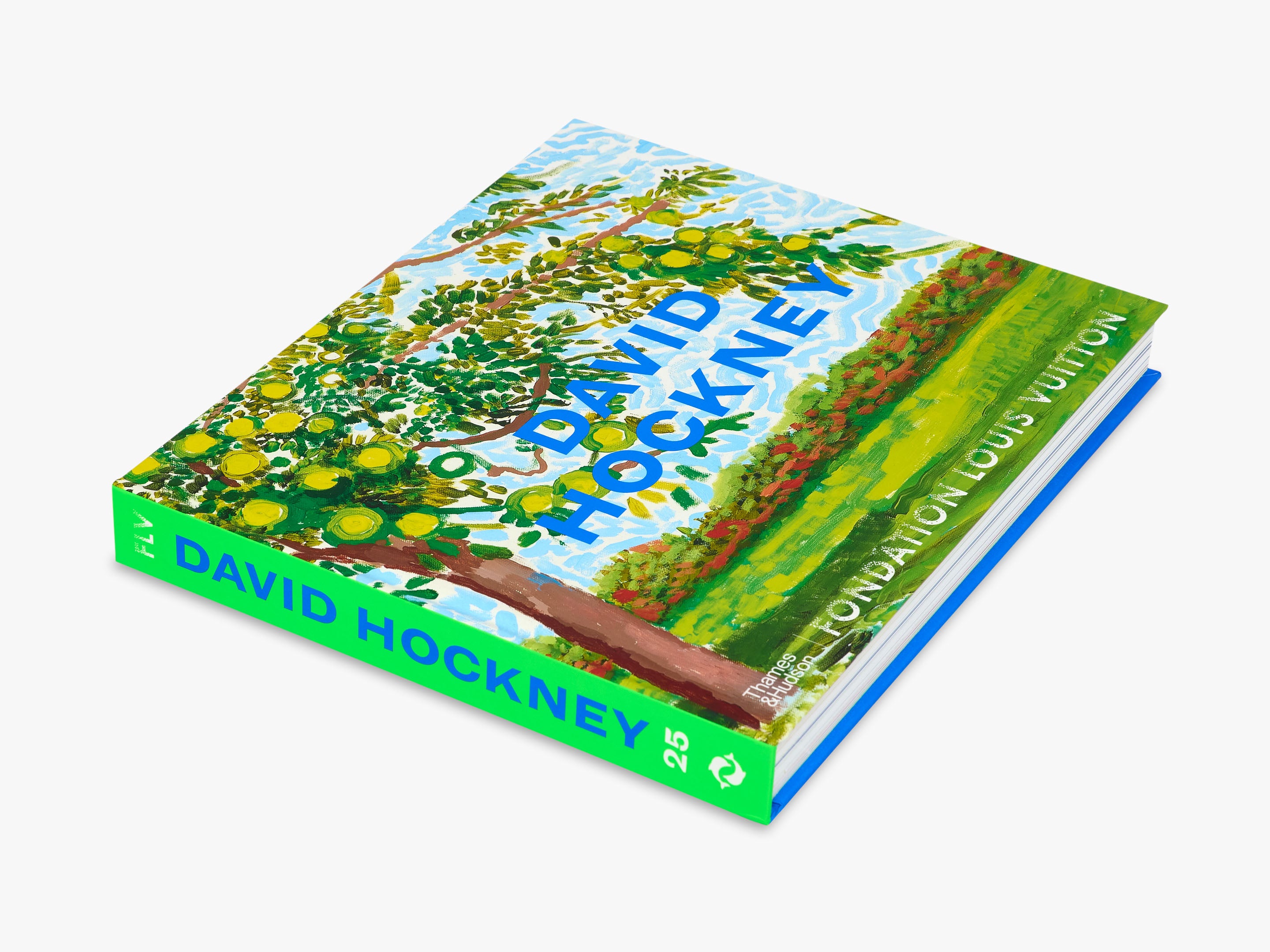 David Hockney Art Prints - High Quality Wall Decor for Living Room, Bedroom & Office | Famous British Artist Paintings for Home & Gift