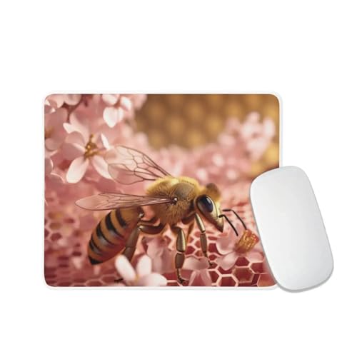 Honey Bee on Comb and Cherry Blossom