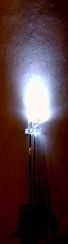 5mm White LED Bulb - Bright Mini Light for DIY Electronics, Circuit Boards, and Model Lighting Projects - Perfect for Hobbyists and Makers