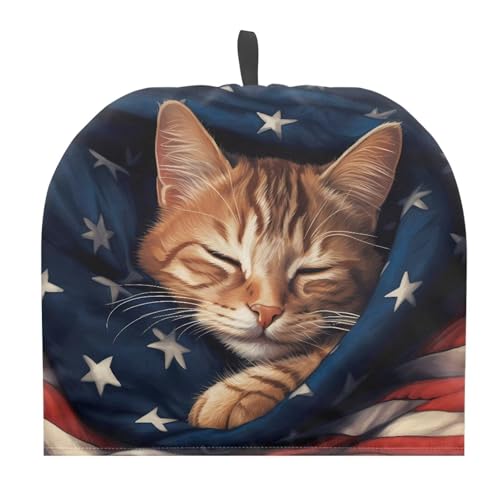 Cat and American Flag