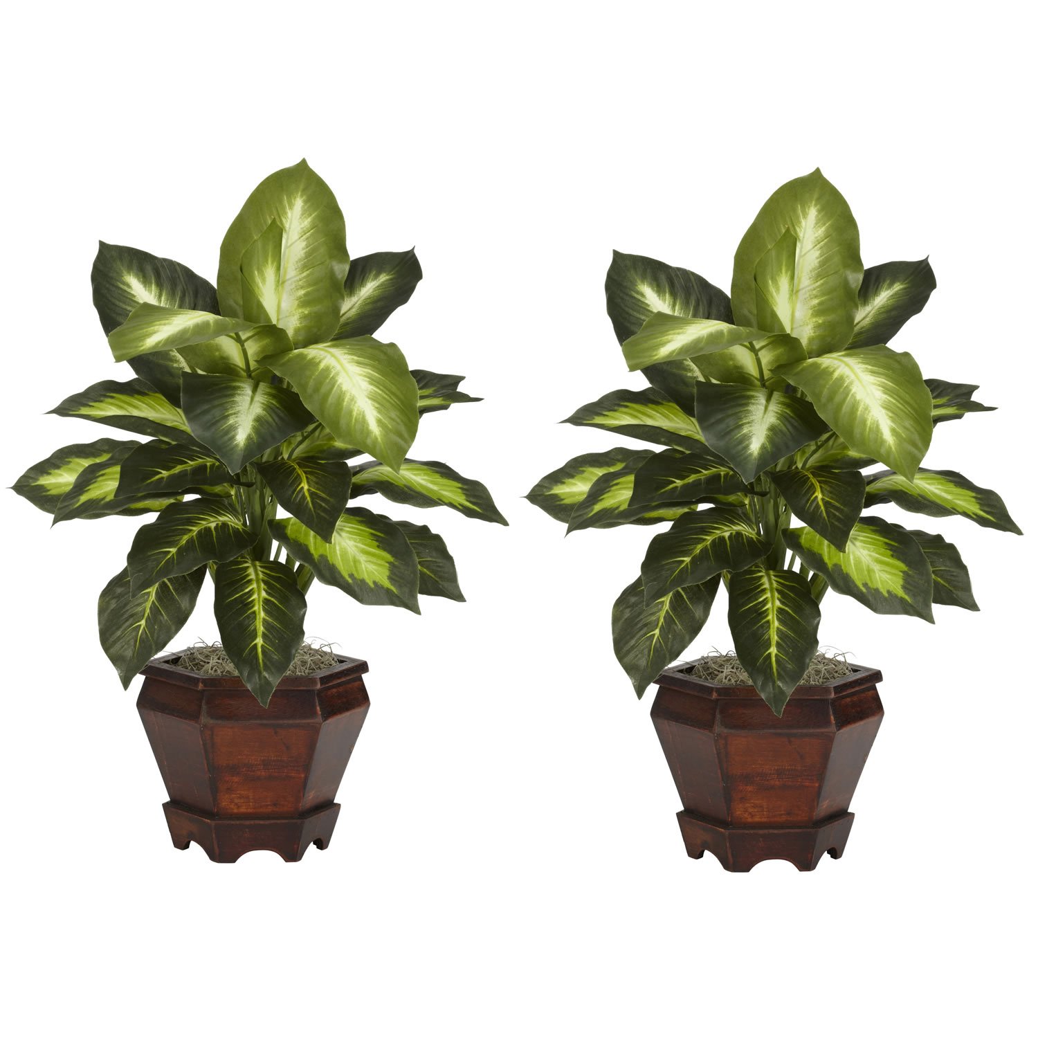 Nearly Natural Dieffenbachia Silk Plant Set of 2 with Wood Vase - Realistic Artificial Tropical Foliage for Home Decor, Office, Living Room & Indoor Spaces