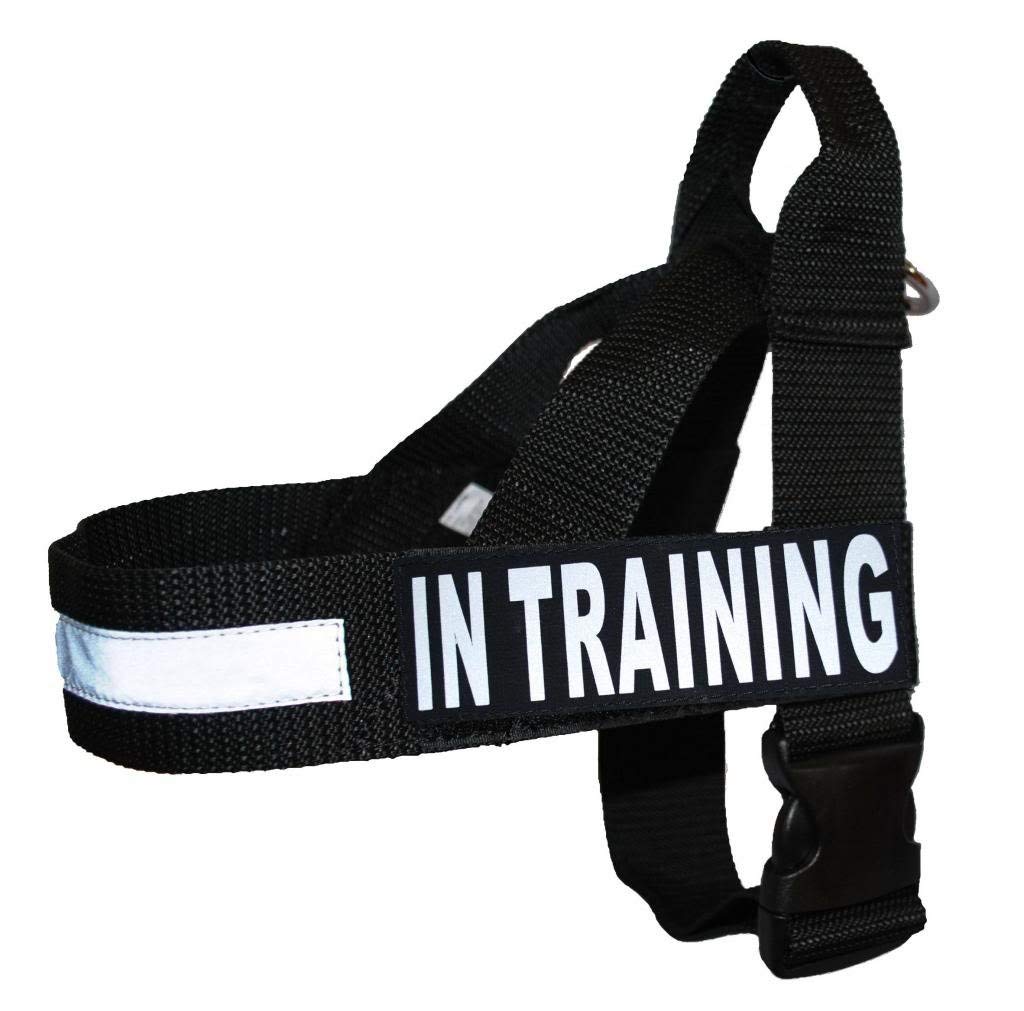 No Pull Service Dog Harness with Reflective Straps & Removable Training Patches - Adjustable Nylon Guide Harness for Assistance Dogs (Medium 22-29