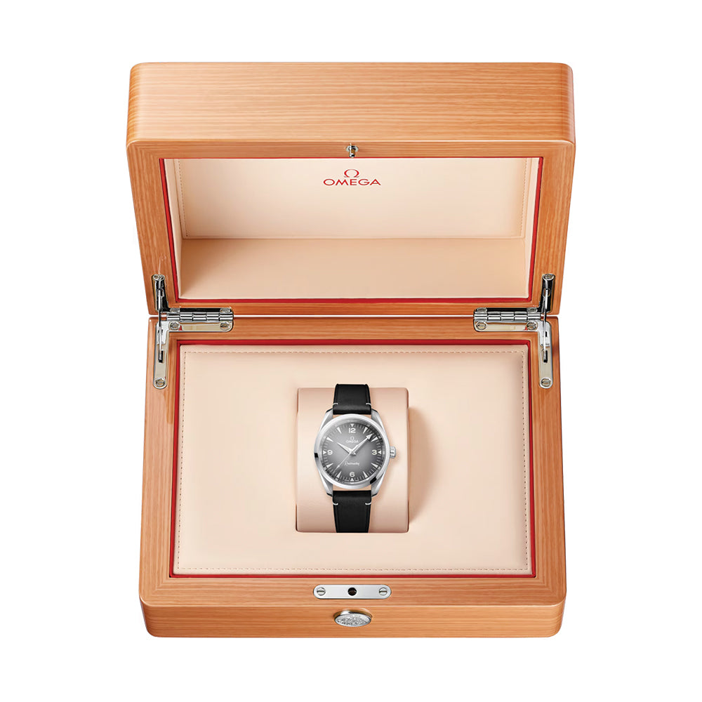 Omega Seamaster Railmaster Co-Axial Master Chronometer 38mm Men's Watch - Grey Dial with Leather Strap | Luxury Automatic Timepiece for Business, Formal & Everyday Wear
