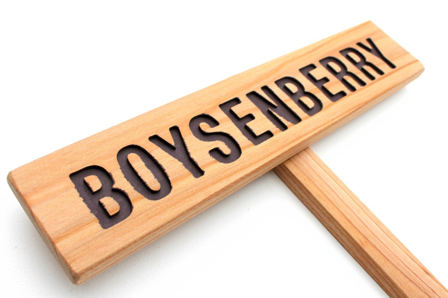 Boysenberry Garden Sign - Custom Berry & Fruit Marker for Outdoor Yard Art - Summer Berries Signage - Perfect for Garden Decor & Farmhouse Style Landscaping