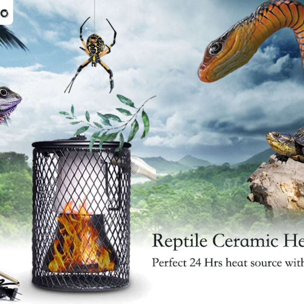 100W Reptile Ceramic Heat Lamp with Cage Light Holder - Adjustable Temperature for Terrariums, Chicken Coops & Pet Habitats - Ideal for Lizards, Snakes, Turtles & Poultry Breeding