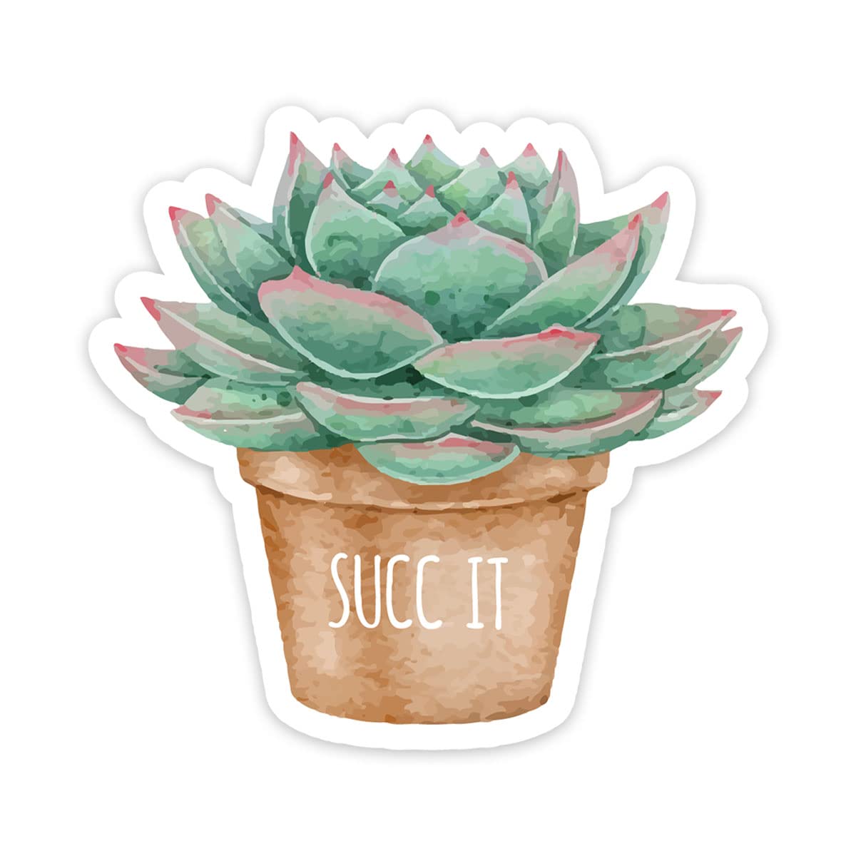 SUCC It Cactus Sticker - 2 Pack Clear Waterproof Succulent Stickers for Laptop, Phone, Water Bottle & Car Decoration - Perfect for DIY Crafts, Scrapbooking & Personalizing Your Devices