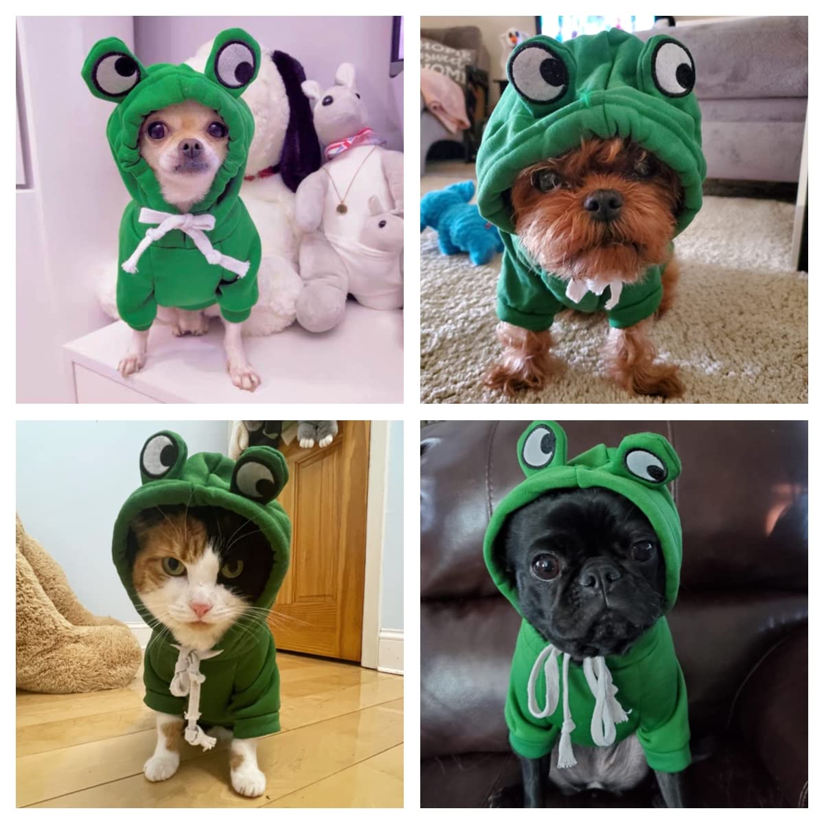 Green Frog Dog Costume for Small Dogs - Christmas & Halloween Pet Outfits, Puppy Hoodie for Yorkie, Chihuahua, Pomeranian (XS) - Perfect for Holiday Photos & Pet Parties