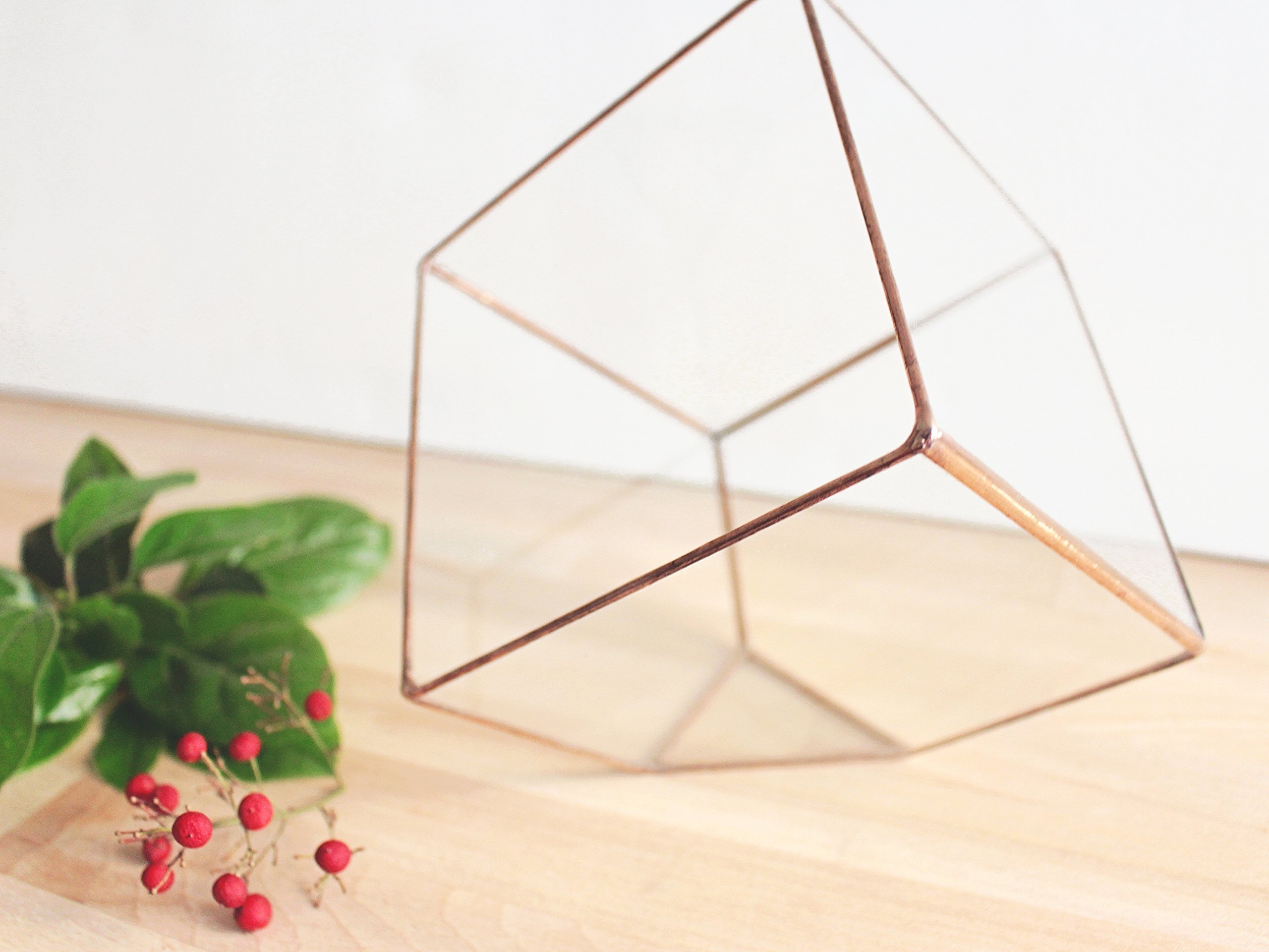 Waen Geometric Glass Terrarium - Medium Cube Planter for Succulents & Air Plants (Copper, Silver, Black) | Modern Home Decor, Office Desk Display & Wedding Centerpiece