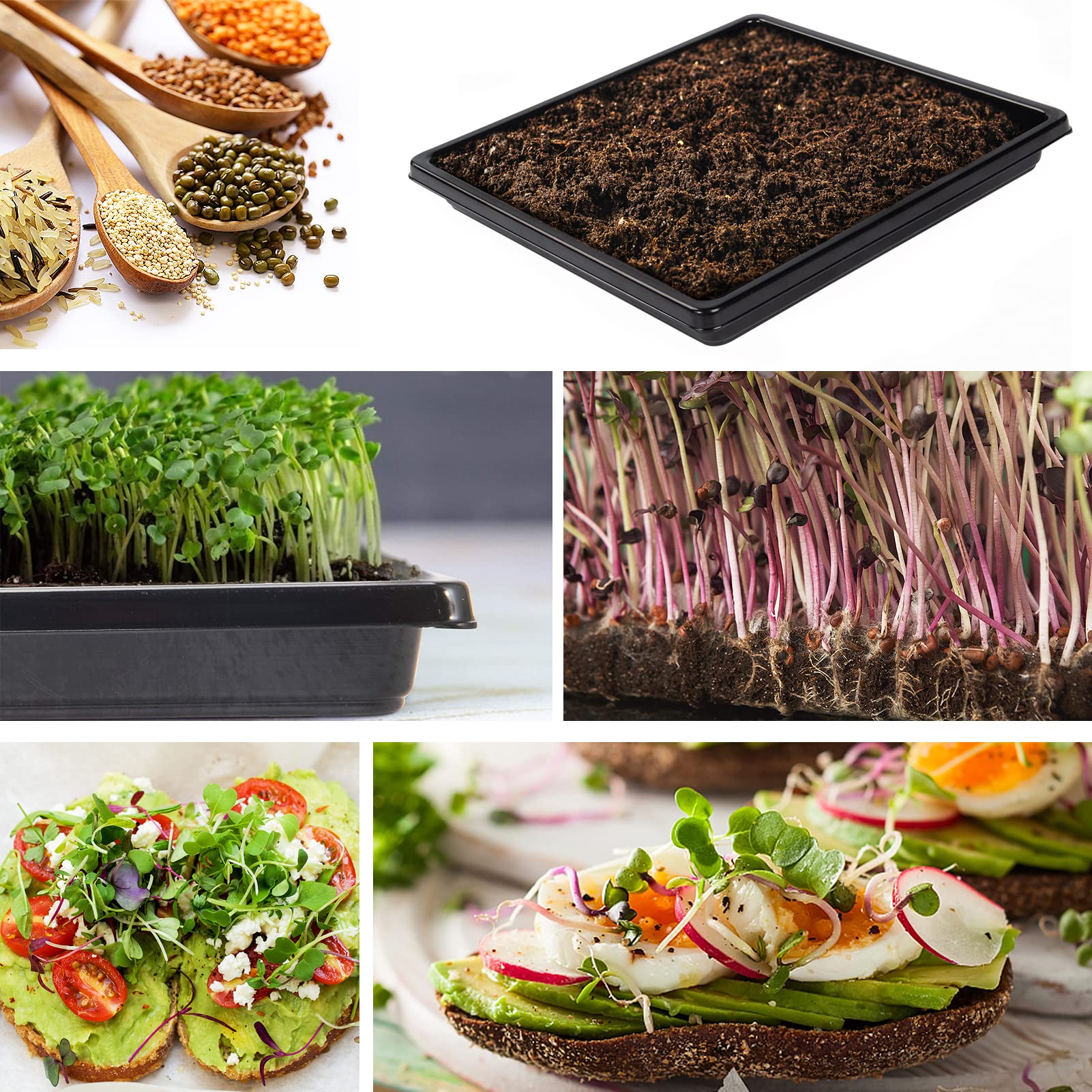 ANPHSIN 10-Pack Seed Starter Trays for Microgreens, Wheatgrass & Plant Propagation - 10.6