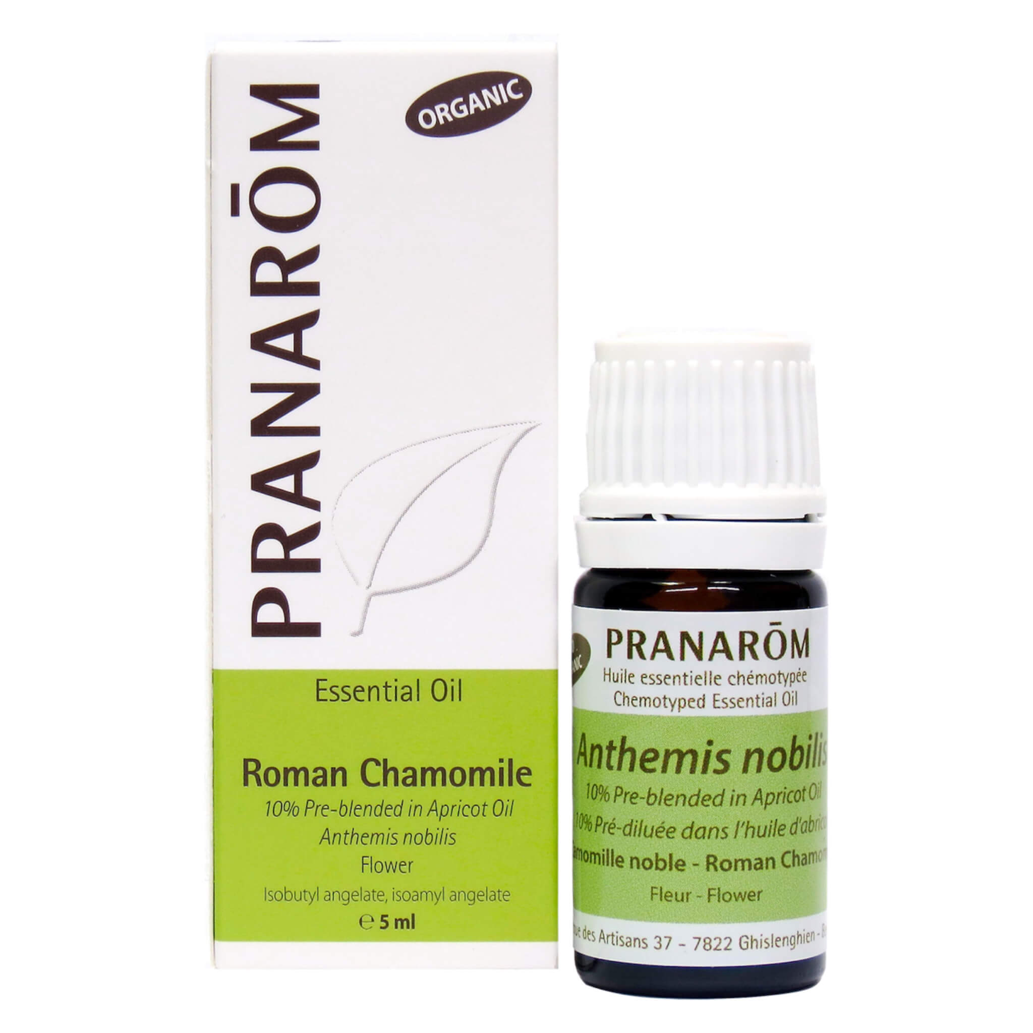 Roman Chamomile 10% Pre-Blended Essential Oil for Aromatherapy, Massage & Stress Relief | Premium Therapeutic Grade Oil for Diffusers, Skincare & Relaxation