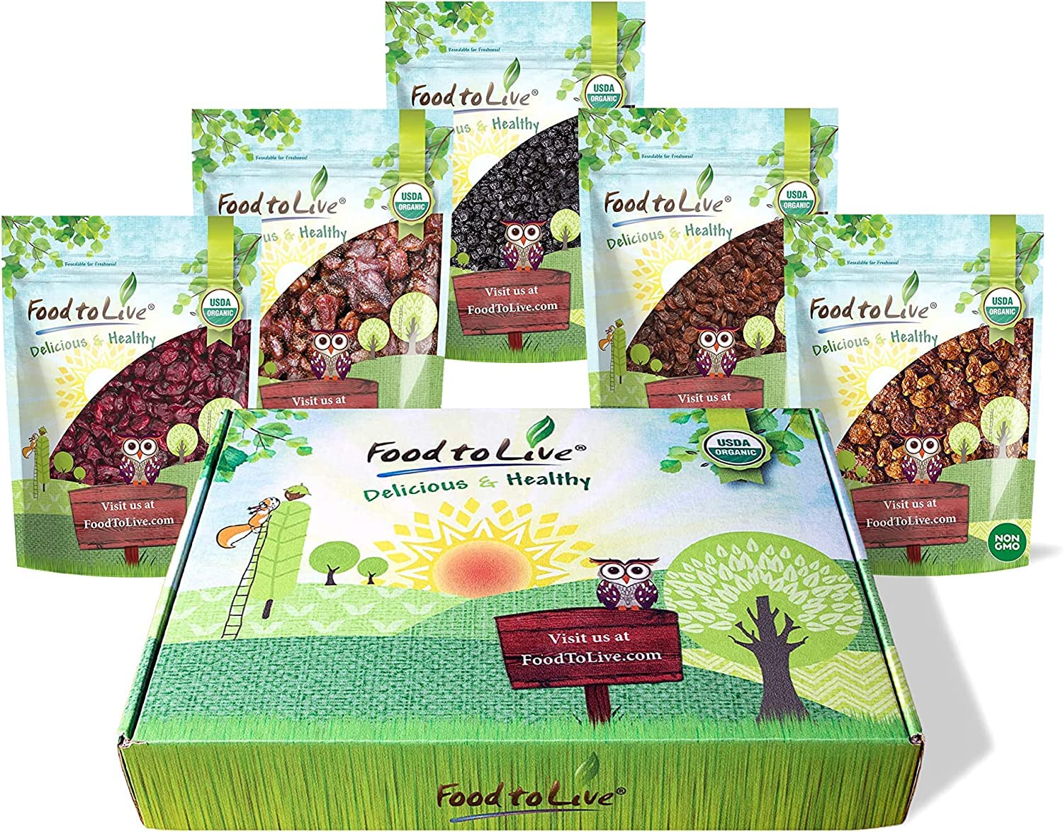 Organic Dried Berries Gift Box - Premium Variety Pack with Blueberries, Strawberries, Cranberries, Goldenberries & Raisins | Healthy Snacks for Hiking, Baking & Holiday Gifts