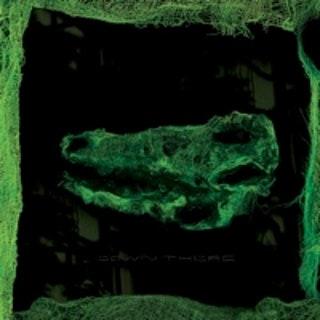 Avey Tare Down There - Limited Edition Vinyl LP | Indie Folk & Experimental Music | Perfect for Collectors & Audiophiles | Ideal for Home Listening & Music Enthusiasts