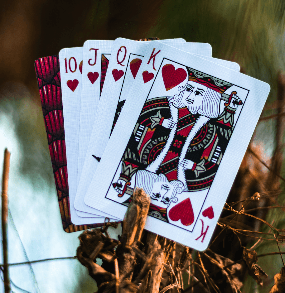 Premium Red Marvelous Hummingbird Feathers Playing Cards - Elegant Deck for Poker, Magic Tricks & Collectors | Perfect for Game Nights, Gifts & Cardistry