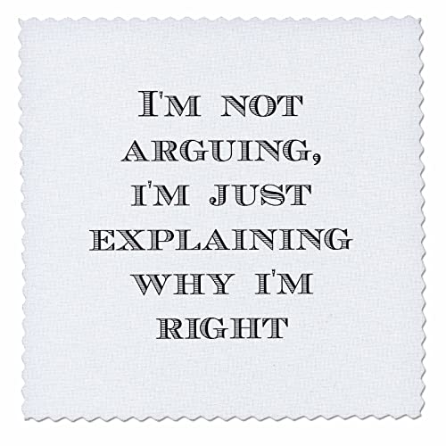 Image of Im Not Arguing Im Just Explaining Why Im