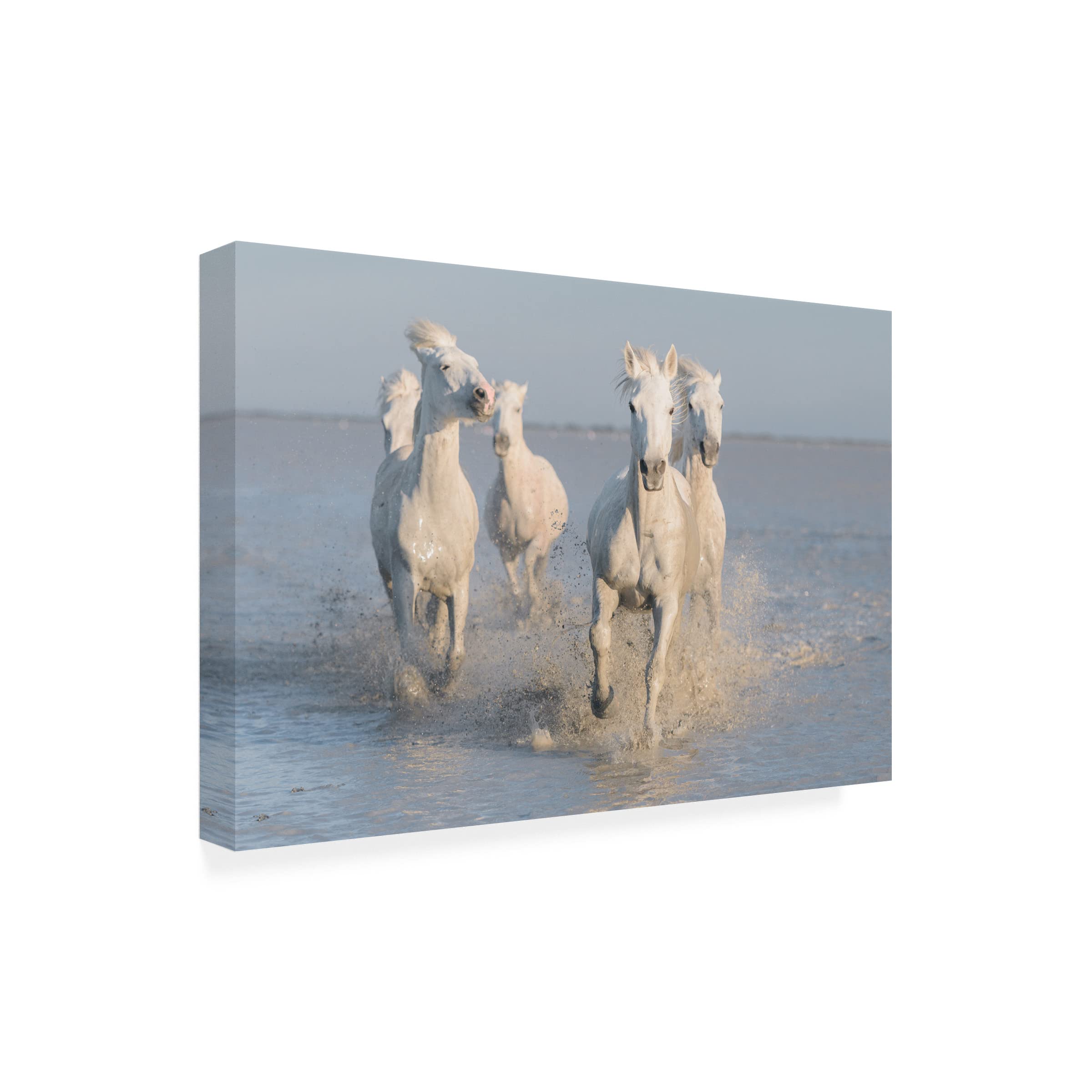 Trademark Fine Art 'Horses' Canvas Painting by Rostovskiy Anton - Elegant Equestrian Wall Decor for Living Room, Bedroom & Office