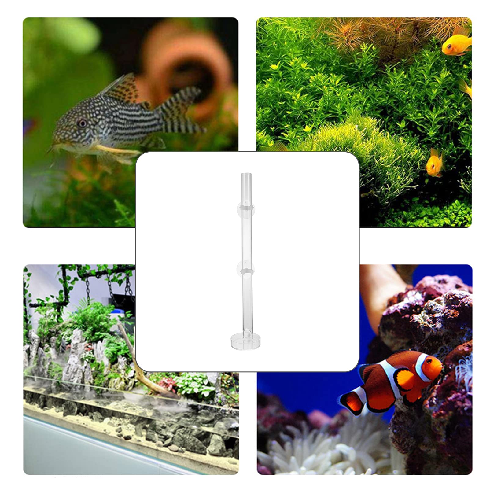 Balacoo Acrylic Shrimp Feeder Tray for Aquarium - Auto Fish Feeder Accessory