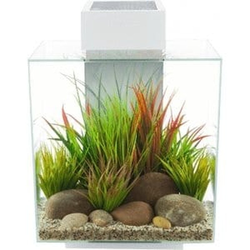 Fluval EDGE 2.0 LED Aquarium Kit - 12 Gallon (46L) White Modern Fish Tank with Energy Efficient Lighting - Perfect for Home, Office & Small Space Aquascaping