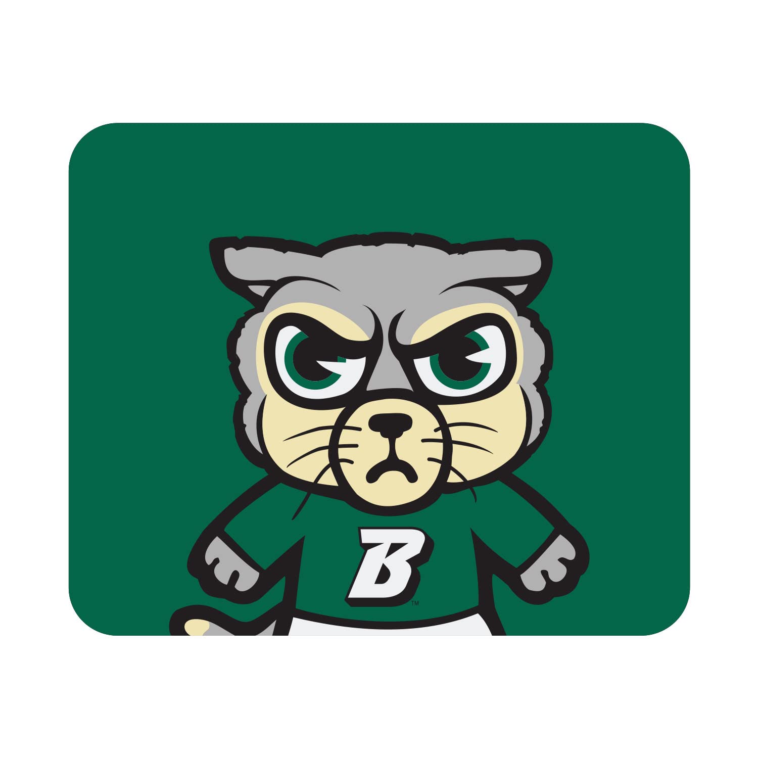 Binghamton University Standard Fabric Mouse Pad - Non-Slip Desk Accessory for Gaming & Office Use - OTM Essentials College Themed Mouse Mat - Perfect for Dorm, Work & Gaming Setup
