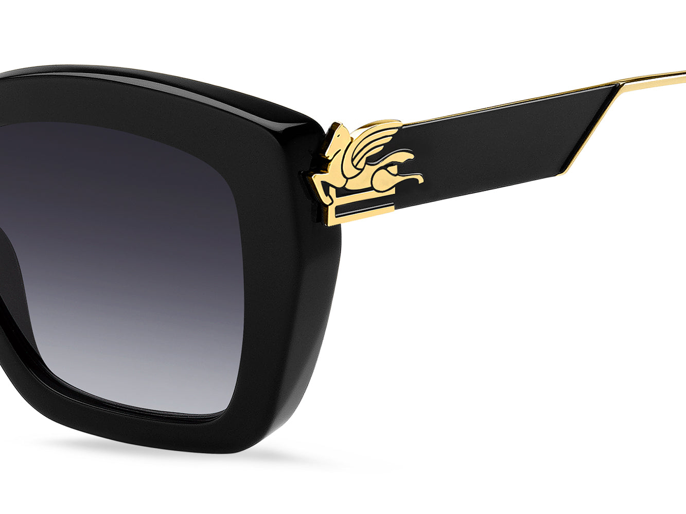 Etro 0039 G S Sunglasses - Luxury Designer Shades for Men & Women - UV Protection & Fashion Eyewear - Perfect for Outdoor Activities, Beach & Driving