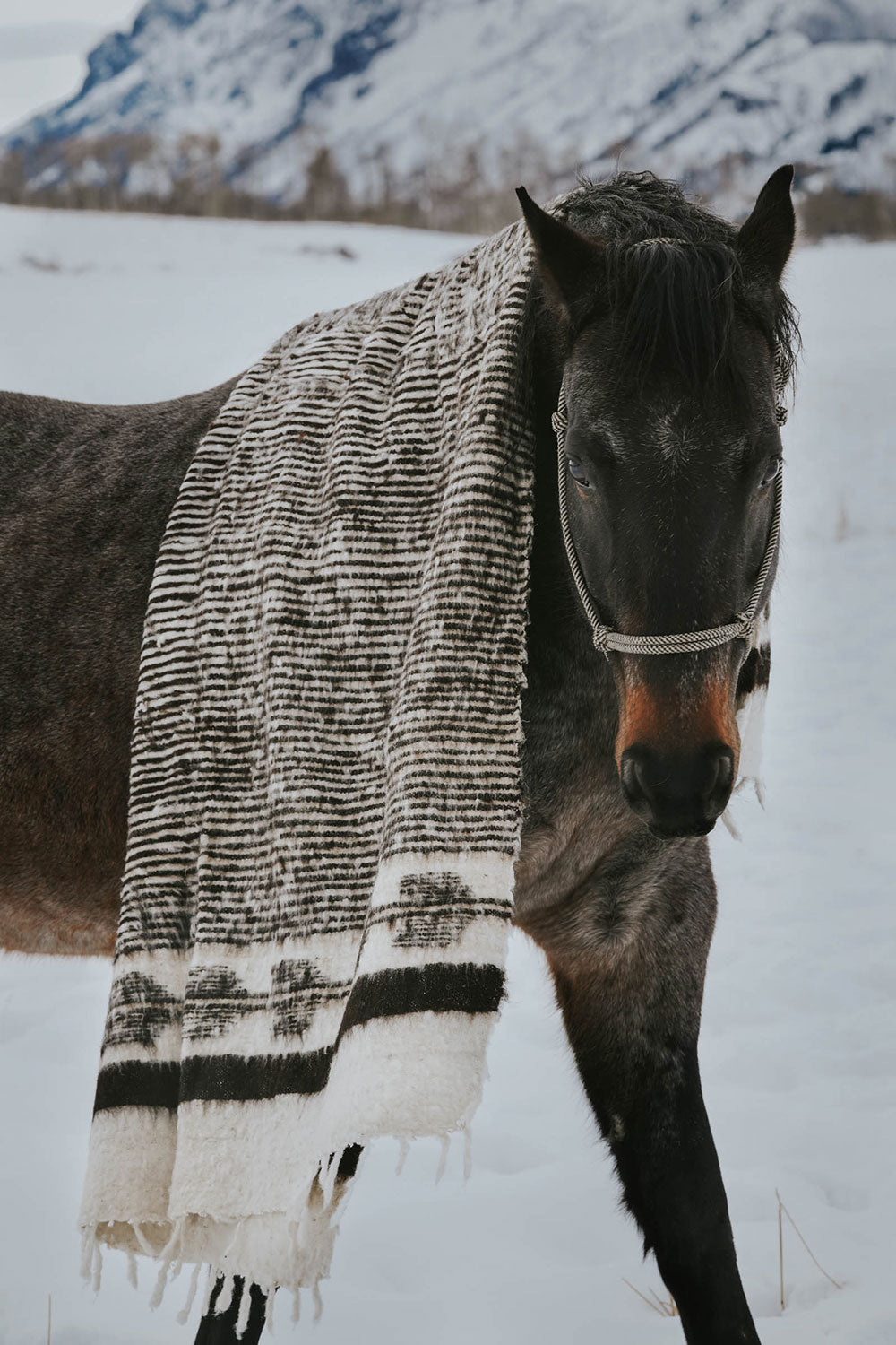 Hand Loomed Cotton Throw Blanket - Soft & Cozy Black/Brown Plaid Pattern - Perfect for Sofa, Bed & Winter Nights