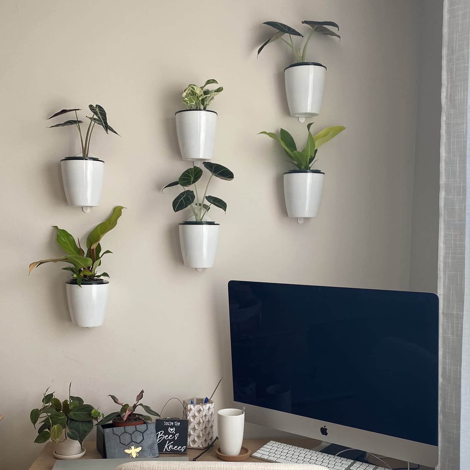 6 Pack 5 Inch Self Watering Plastic Hanging Planters - Wall Mounted Wicking Flower Pots for African Violets, Spider Plants, Orchids - Indoor & Outdoor Use - Perfect for Balconies, Patios, and Small Space Gardening