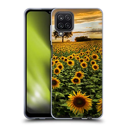 Big Sunflower Field