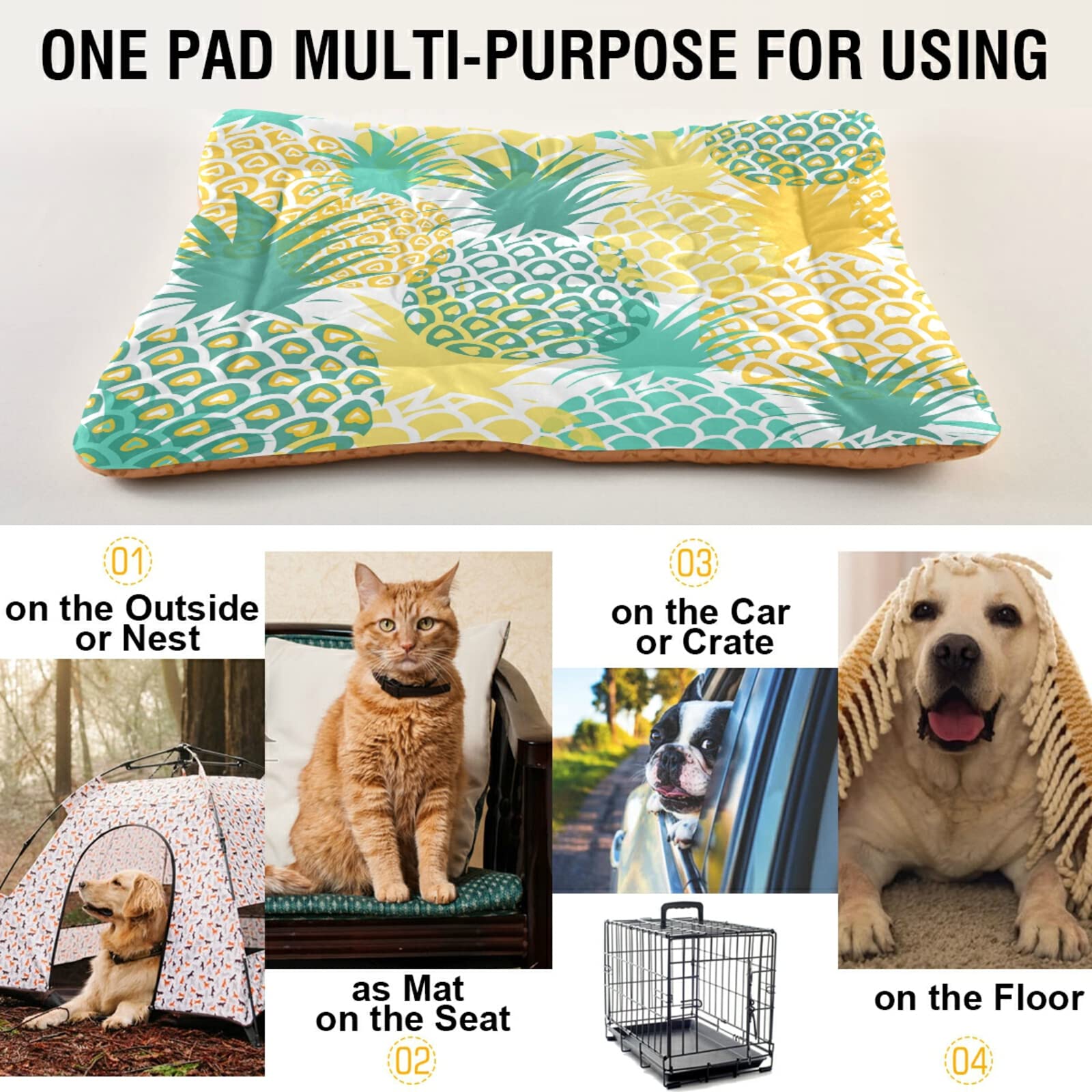 Xigua Pineapple Tropical Dog Bed & Cat Bed - Ultra Soft Rectangle Pet Bed for Small & Medium Dogs - Comfortable Calming Bed 24x18 Inches - Perfect for Indoor Use, Crate Replacement, or Cozy Nap Spot