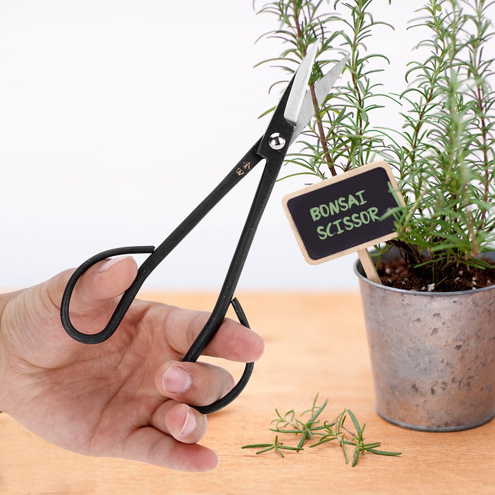 190mm Stainless Steel Bonsai Scissors - Professional Gardening & Flower Arranging Tool for Indoor/Outdoor Use