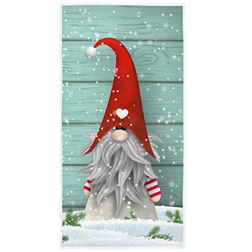 Christmas Gnome