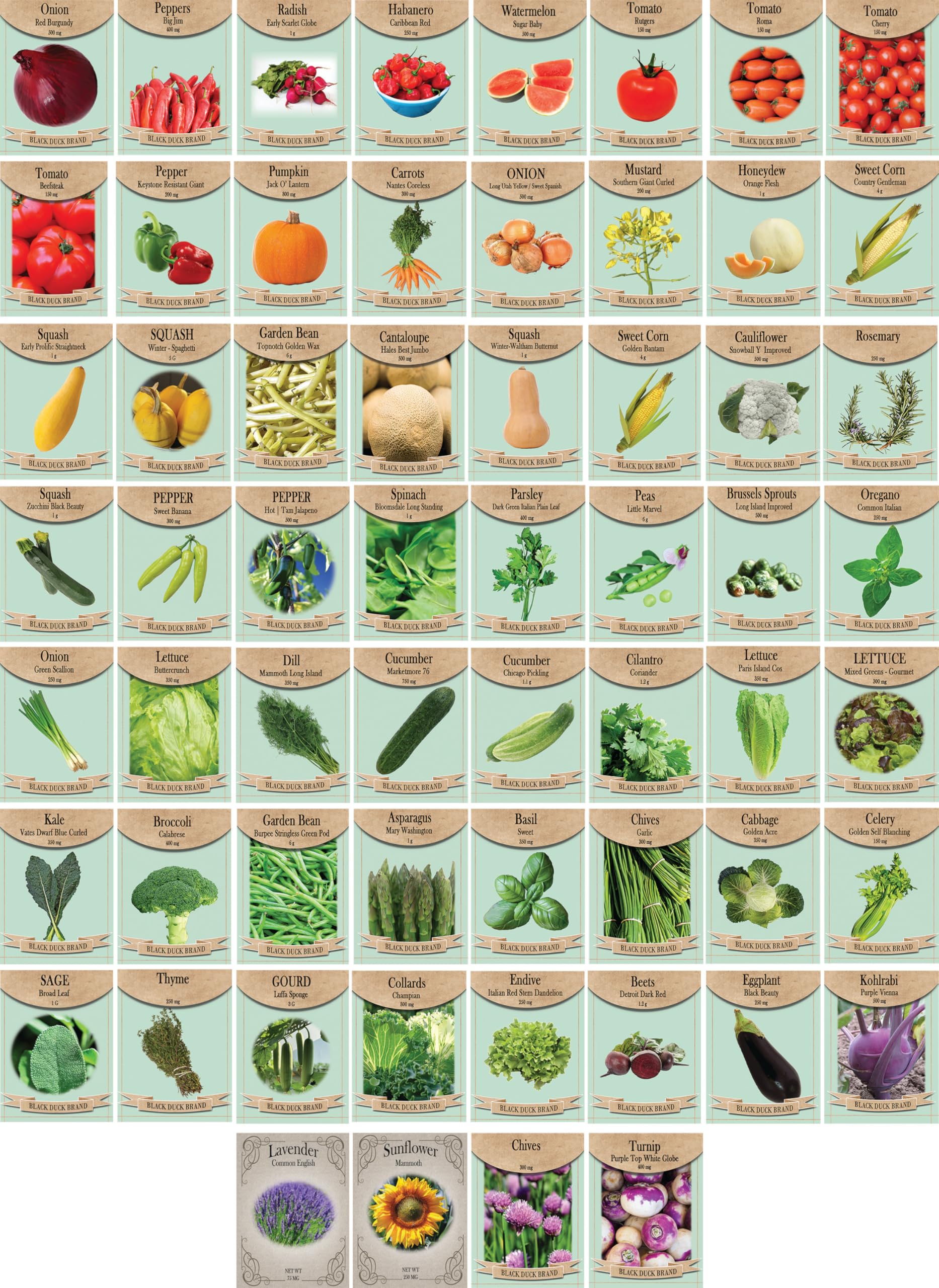60 Premium Herb & Vegetable Seeds Variety Pack - Deluxe Garden Starter Kit for Home Gardening | Grow Fresh Herbs & Veggies for Cooking, Salads & Healthy Eating
