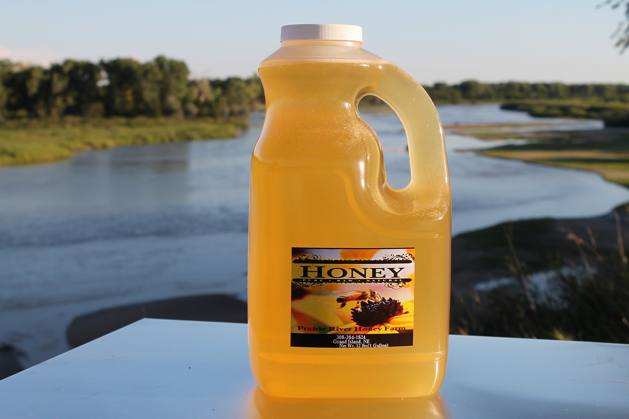 Pure Raw Natural Nebraska Honey - 12lb (1 Gallon) Jug - Unfiltered, Unpasteurized for Baking, Tea, Smoothies & Health Benefits