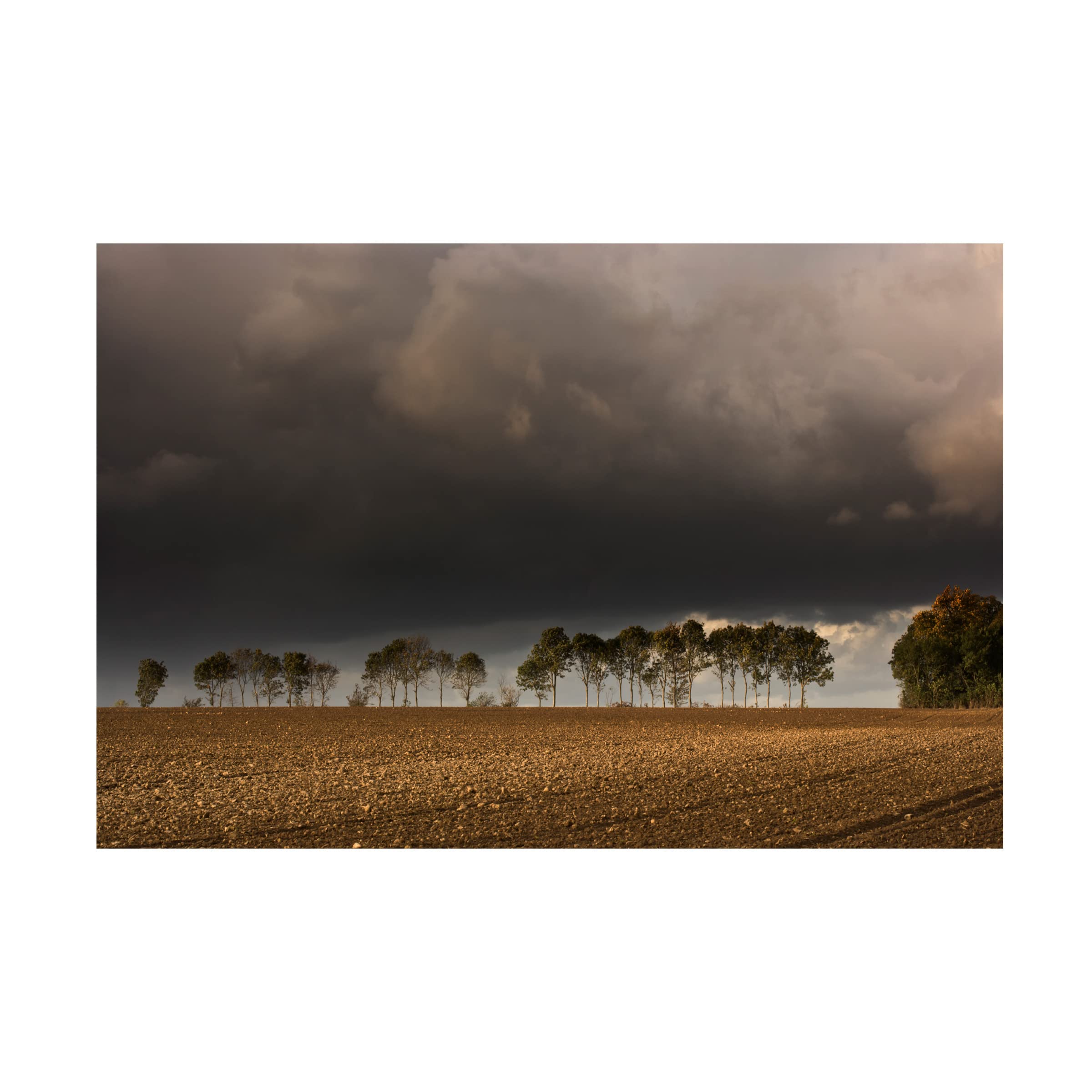 Geoffrey Ansel Agrons 'War Games' Canvas Art Print 16x24 - Modern Wall Decor for Living Room, Bedroom & Office | Trademark Fine Art Collection