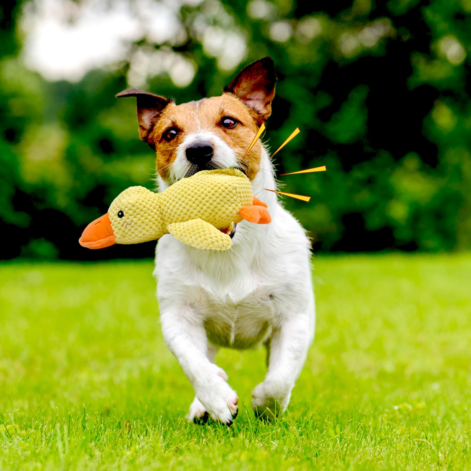 Quack Quack Duck Dog Toy - Squeaky Interactive Chew Toy for Dogs, Durable Calming Duck Puppy Toy with Noise (Yellow) - Perfect for Playtime, Anxiety Relief & Training
