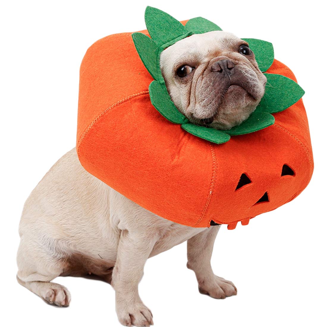 Pumpkin Dog Collar Costume for Small & Medium Dogs - Halloween Pet Apparel & Cosplay Accessories | Perfect for Halloween Parties & Dress-Up Fun