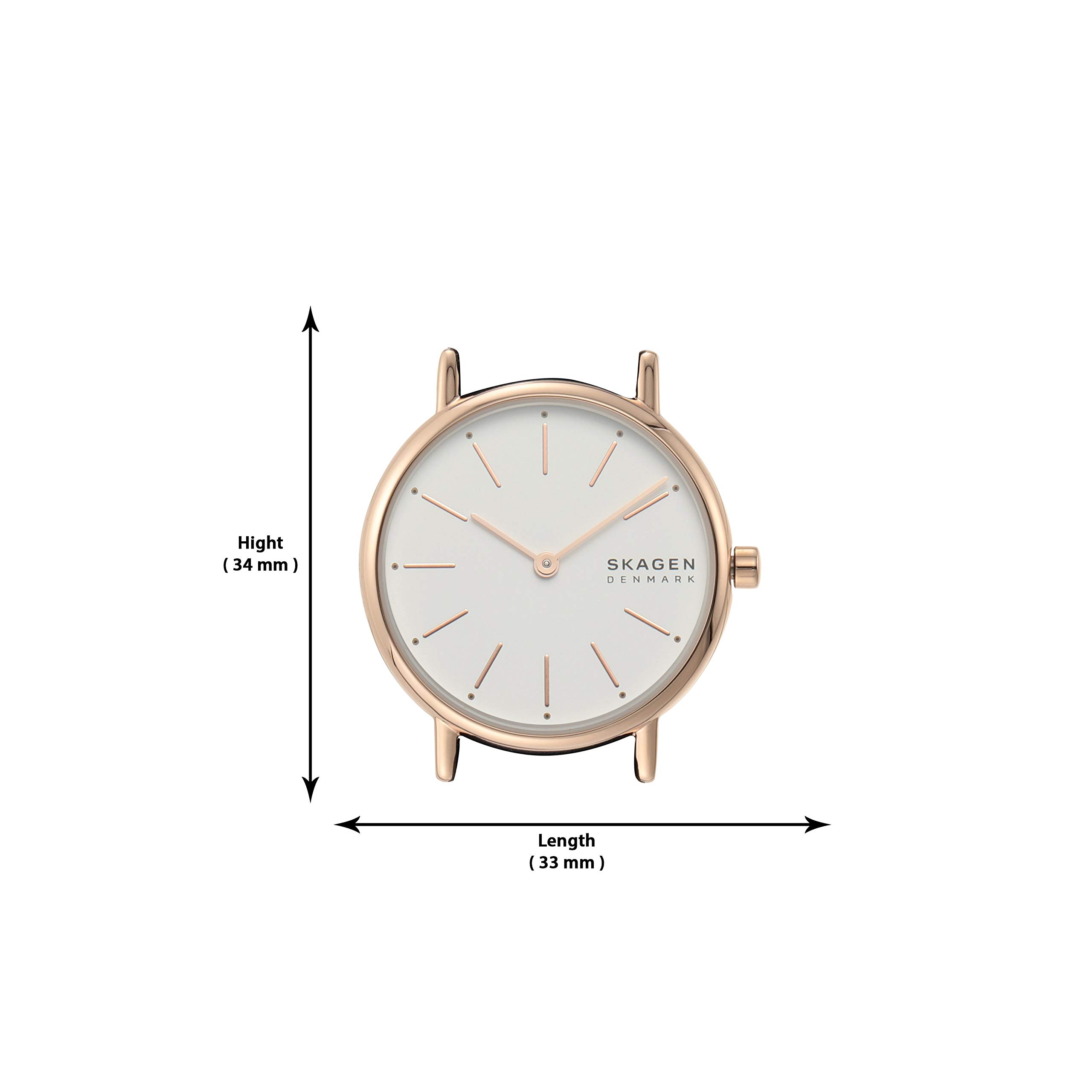 Skagen Women's Watch - Elegant Stainless Steel Analog Watch with Leather Strap | Perfect for Business, Casual & Everyday Wear
