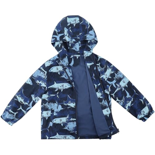 Navy/Shark